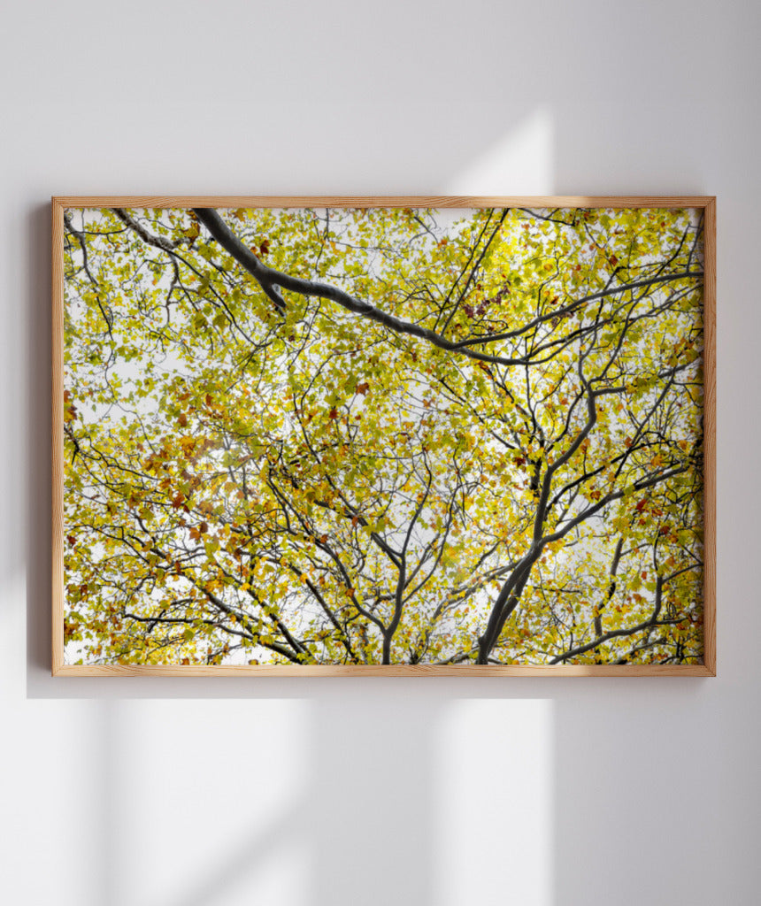 Quadro Decorativo Árvore com Galhos Verdes - Horizontal