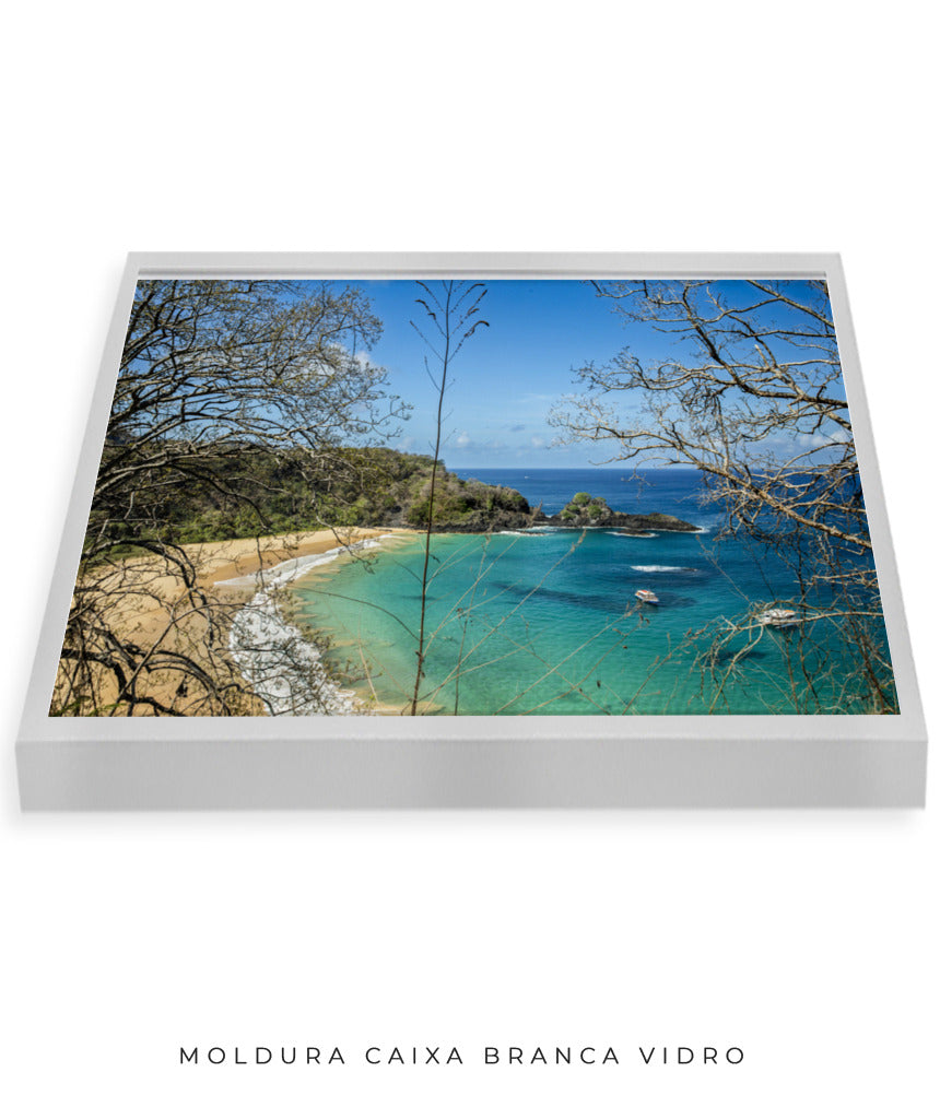 Quadro Decorativo Noronha - Praia, Mar e Galhos Secos - Horizontal