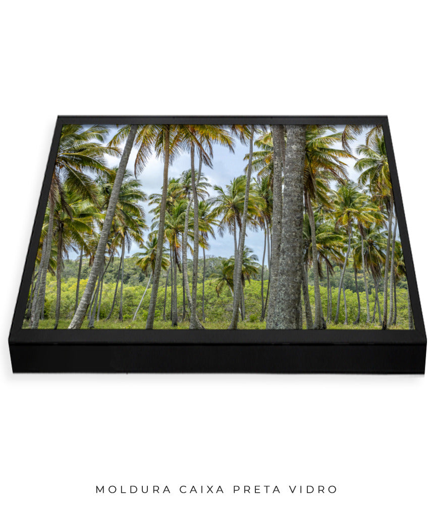 Quadro Decorativo Coqueiros Sépia - Horizontal