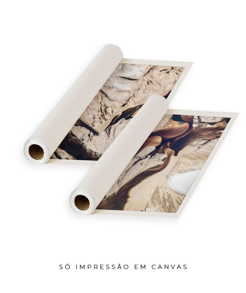 Quadro Decorativo Abstrato e Curvas - Tons Marrom e Bege -Dupla