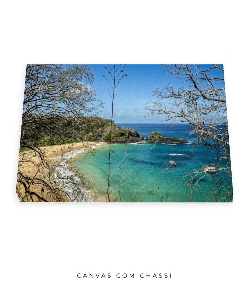 Quadro Decorativo Noronha - Praia, Mar e Galhos Secos - Horizontal