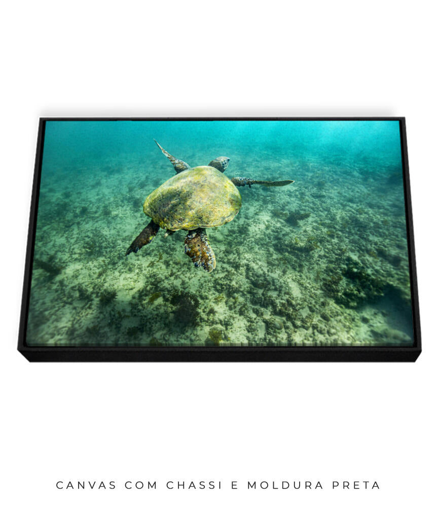 Quadro Decorativo Noronha - Tartaruga no Fundo do Mar