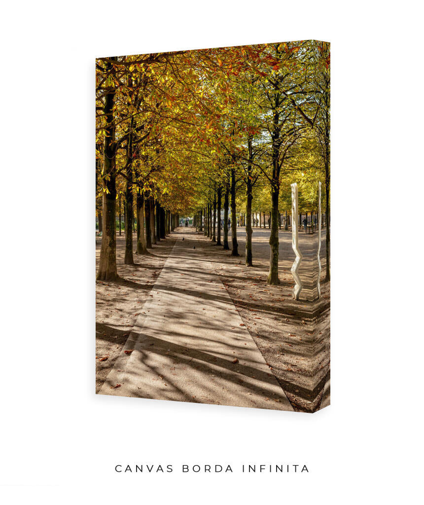 Quadro Decorativo Árvores e Galhos - Espaço para caminhada