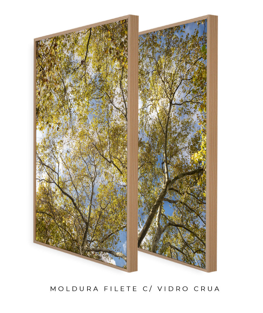 Quadro Decorativo Galhos e Árvores - Dupla