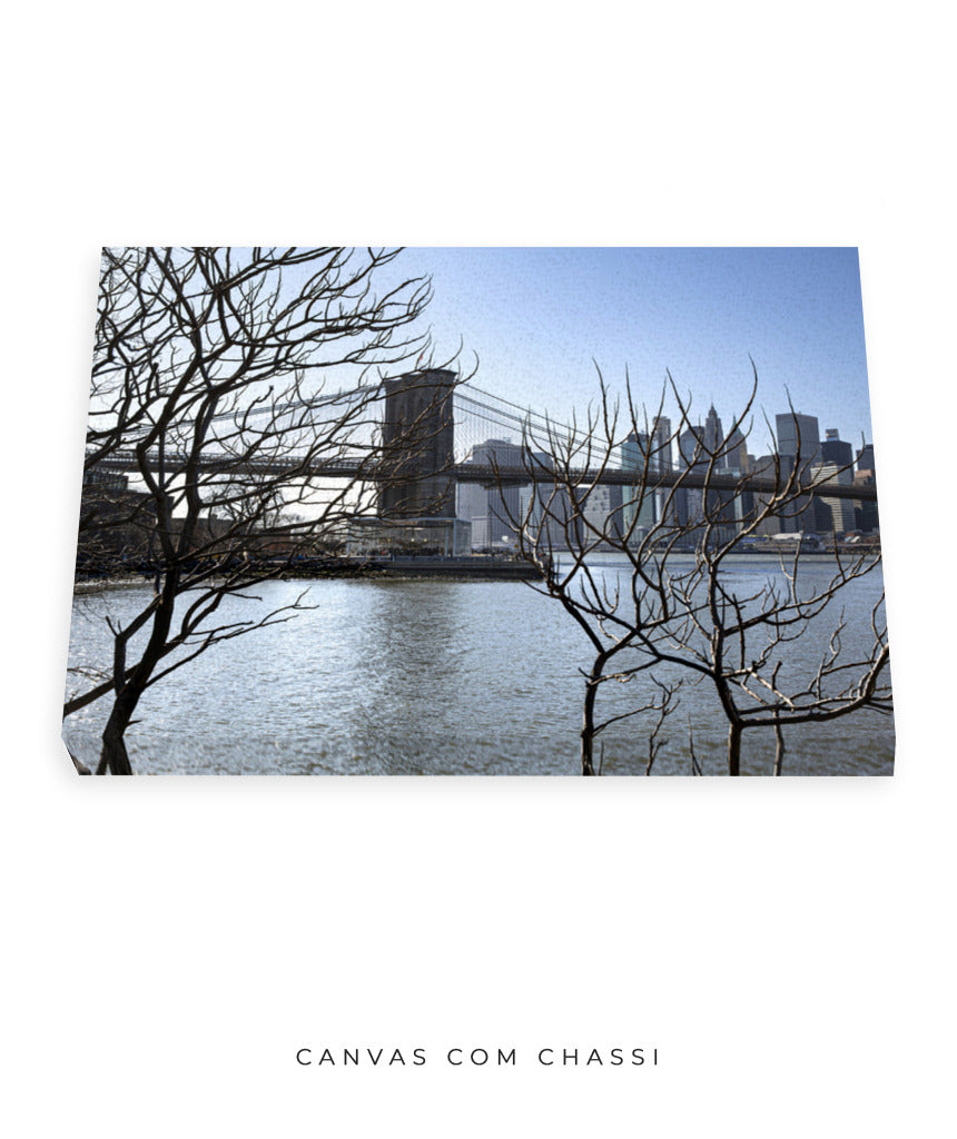 Quadro Decorativo Lago de Nova York - Horizontal
