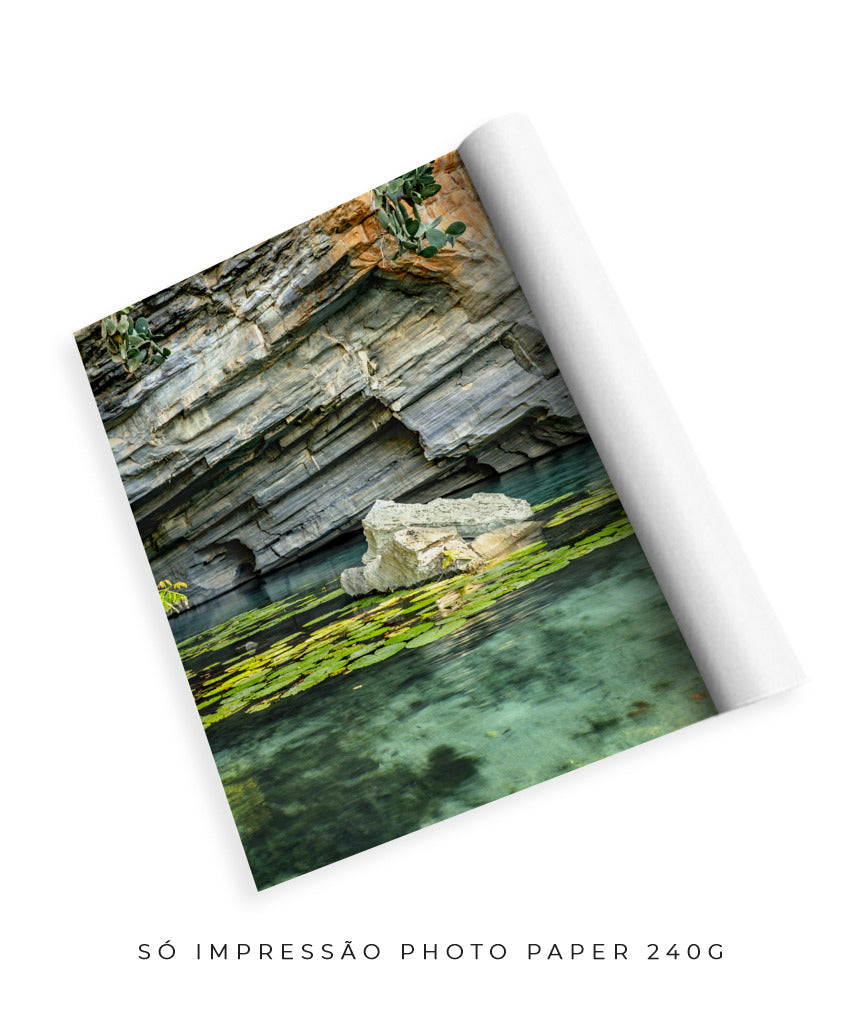 Quadro Decorativo Chapada Diamantina -Vitória Régia- Vertical
