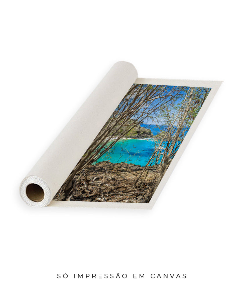 Quadro Decorativo Portais Praia