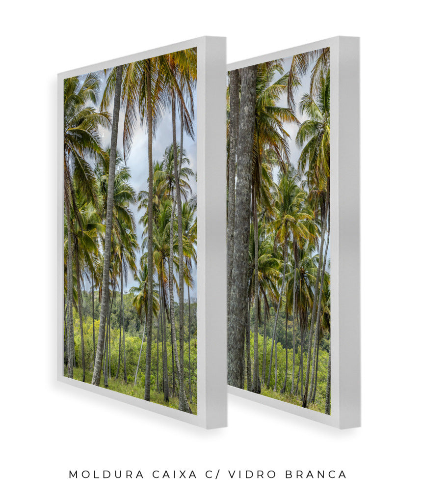 Quadro Decorativo Coqueiros Sépia -Dupla