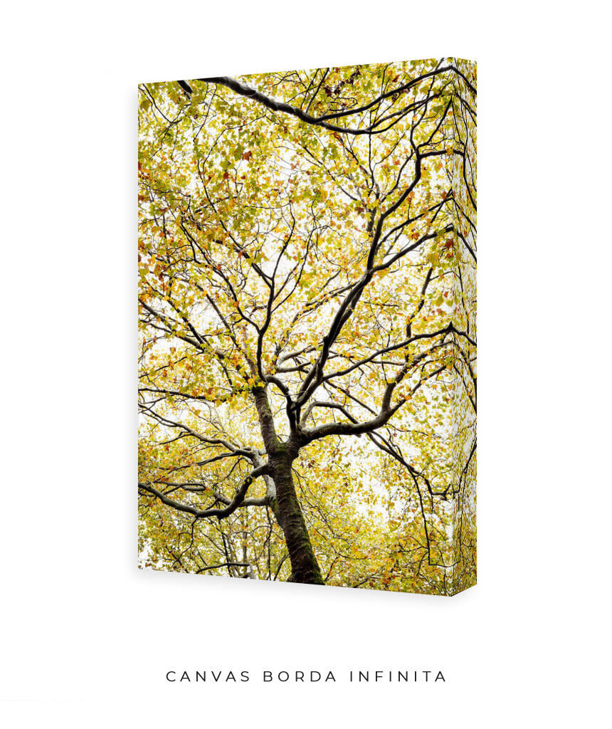 Quadro Decorativo Árvores e Galhos - Folhas verdes Vertical