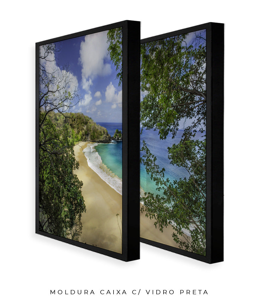 Quadro Decorativo Praia e mar,galhos verdes - Dupla
