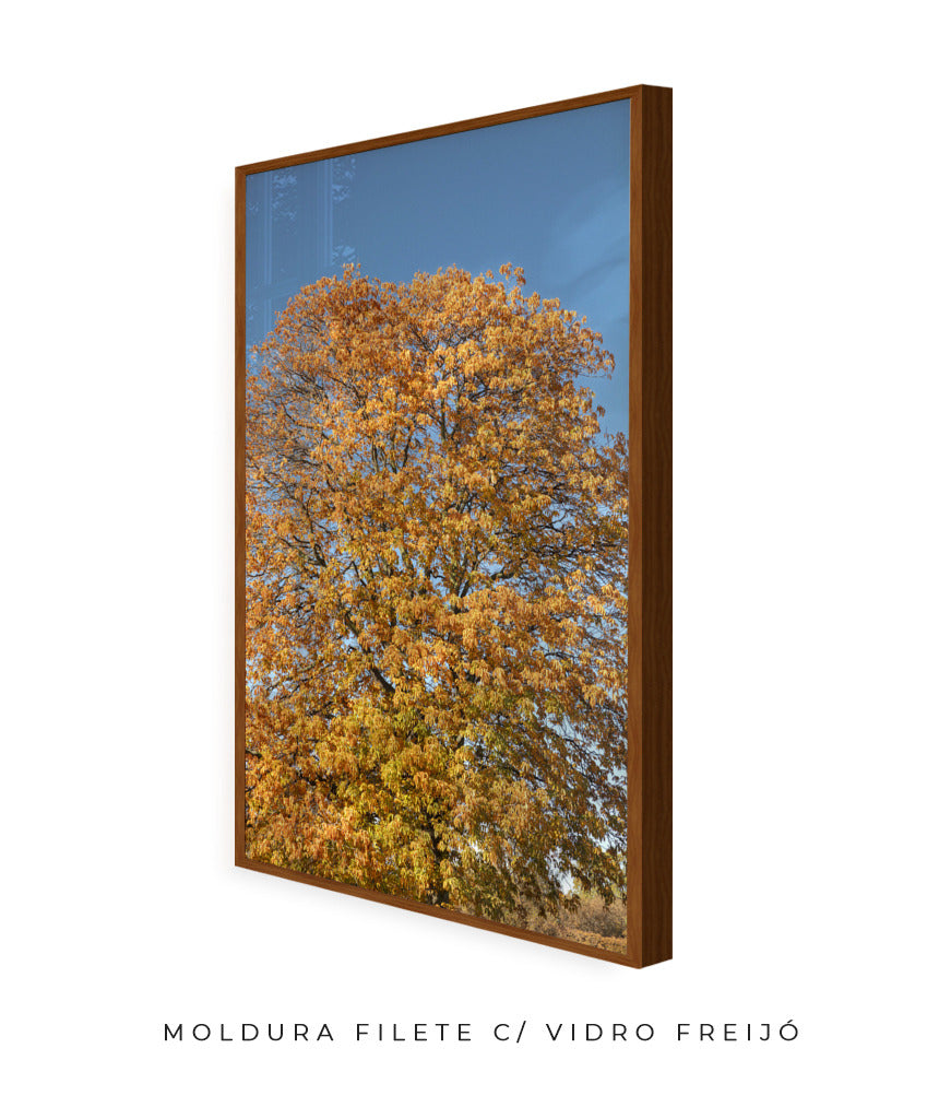 Quadro Decorativo Árvore Amarela