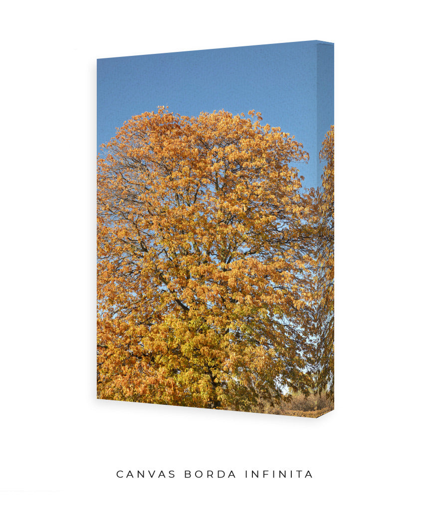 Quadro Decorativo Árvore Amarela
