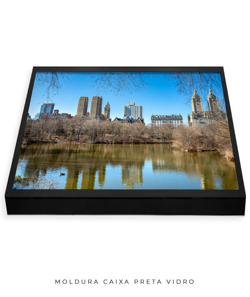 Quadro Decorativo Nova York - Prédios Central Park
