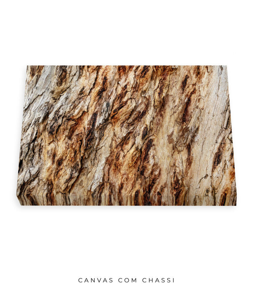 Quadro Decorativo Texturas - Madeira