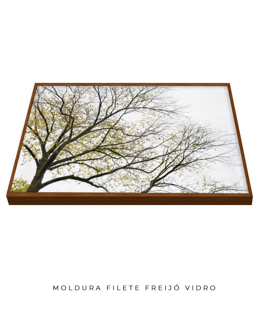 Quadro Decorativo Galhos Secos - Horizontal
