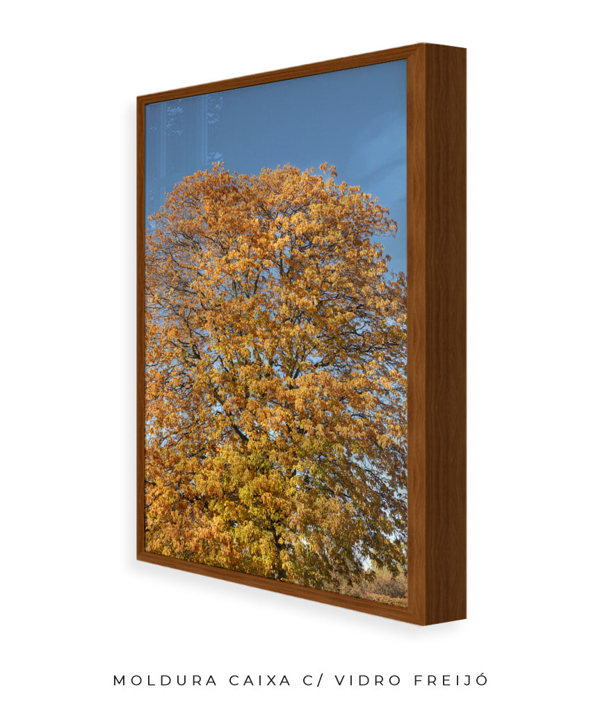 Quadro Decorativo Árvore Amarela