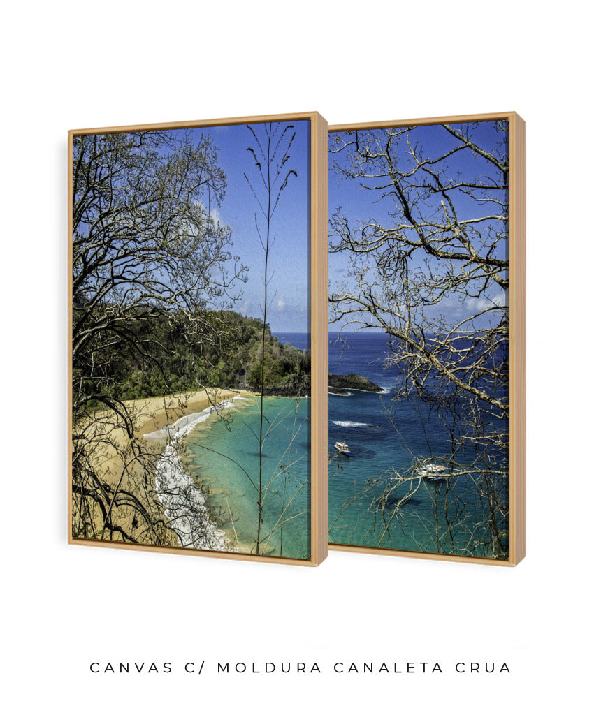 Quadro Decorativo Praia, Mar e Galhos Secos -Dupla
