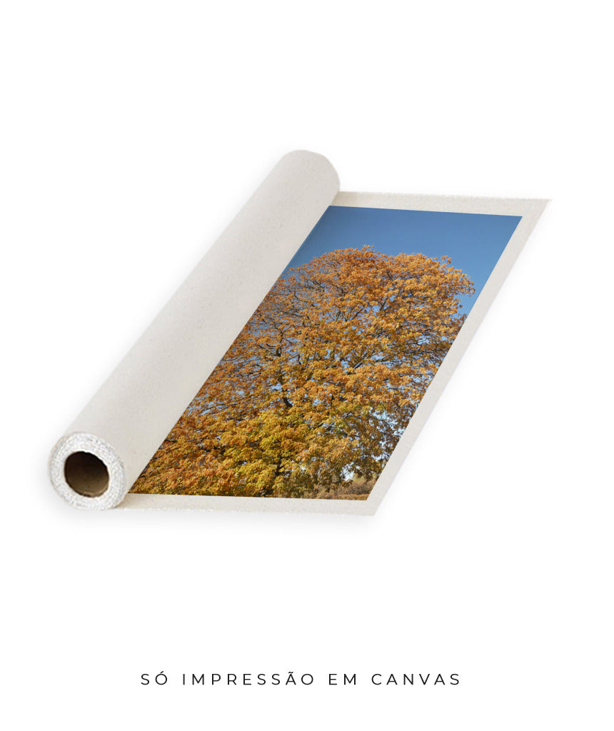 Quadro Decorativo Árvore Amarela