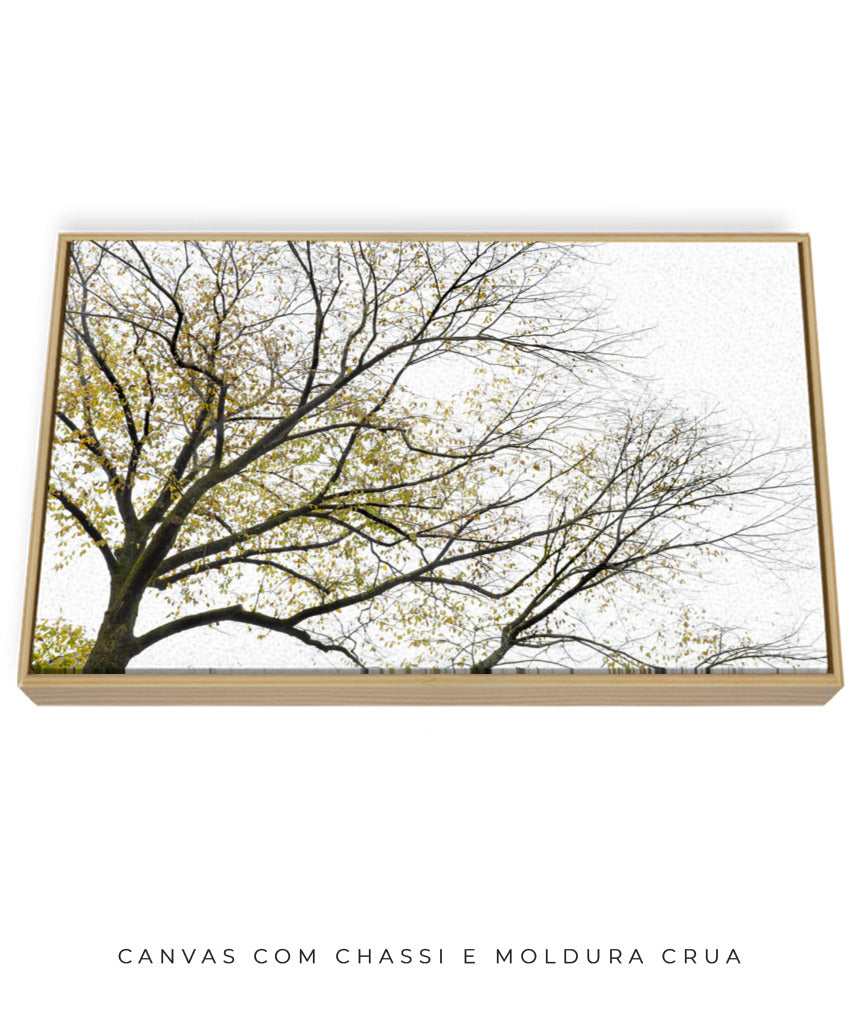 Quadro Decorativo Galhos Secos - Horizontal