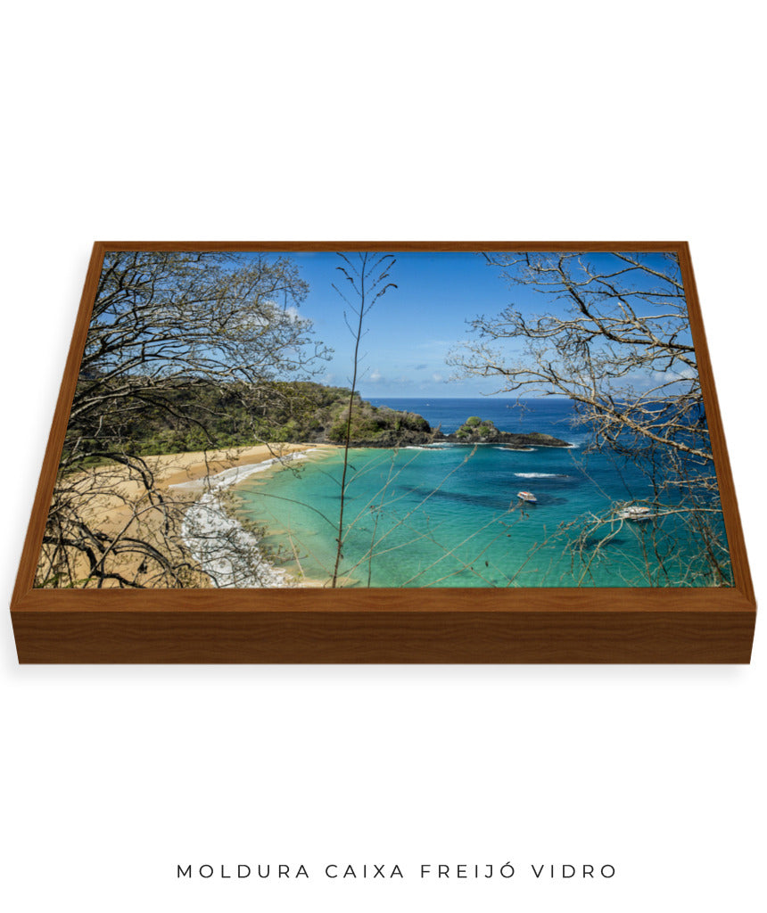 Quadro Decorativo Noronha - Praia, Mar e Galhos Secos - Horizontal