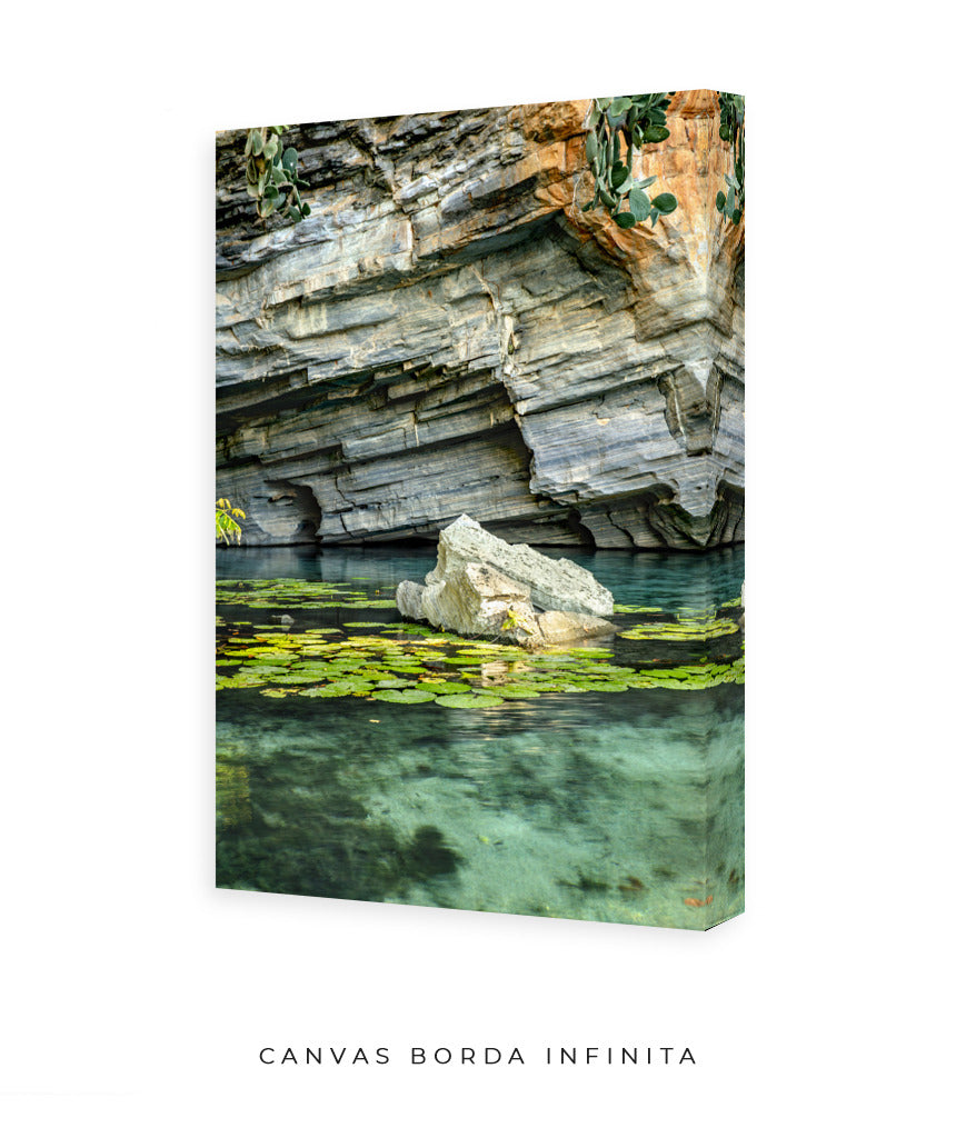 Quadro Decorativo Chapada Diamantina -Vitória Régia- Vertical