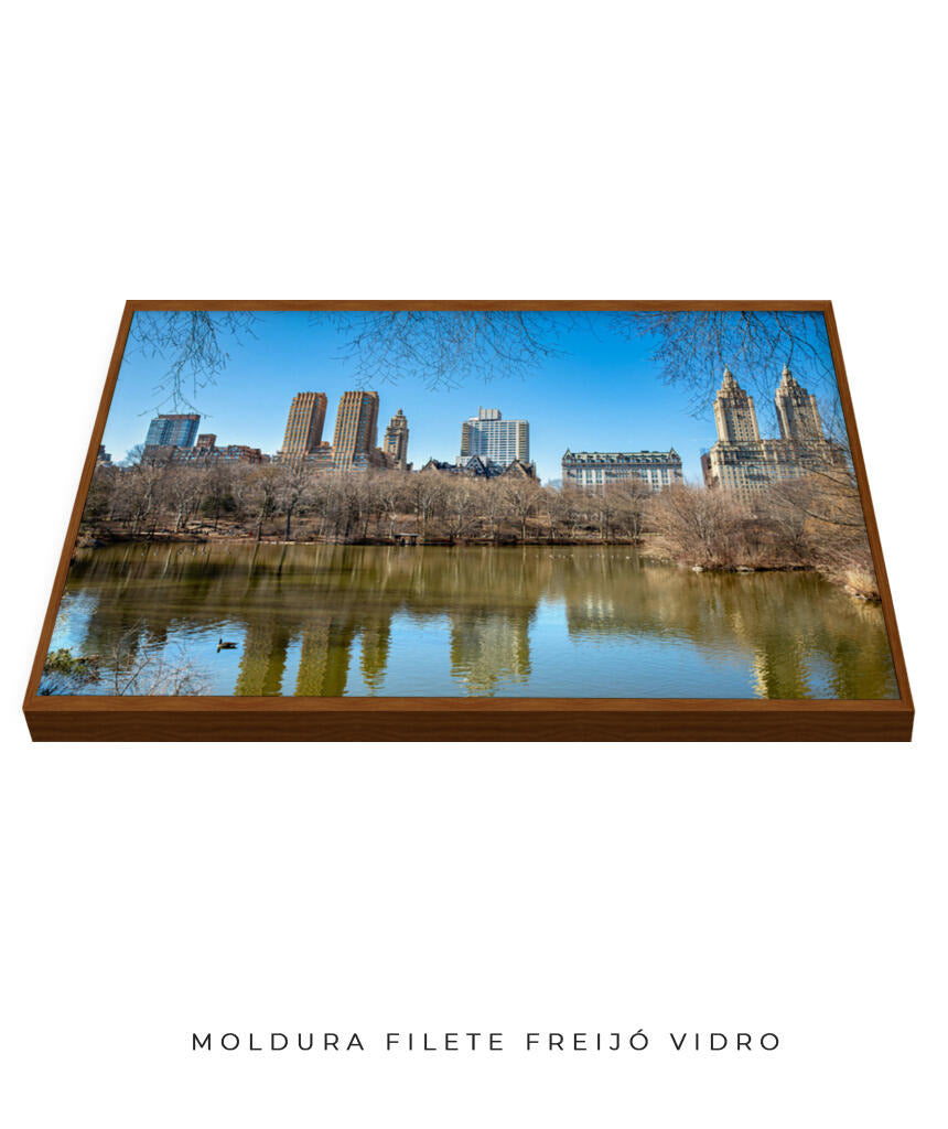 Quadro Decorativo Nova York - Prédios Central Park