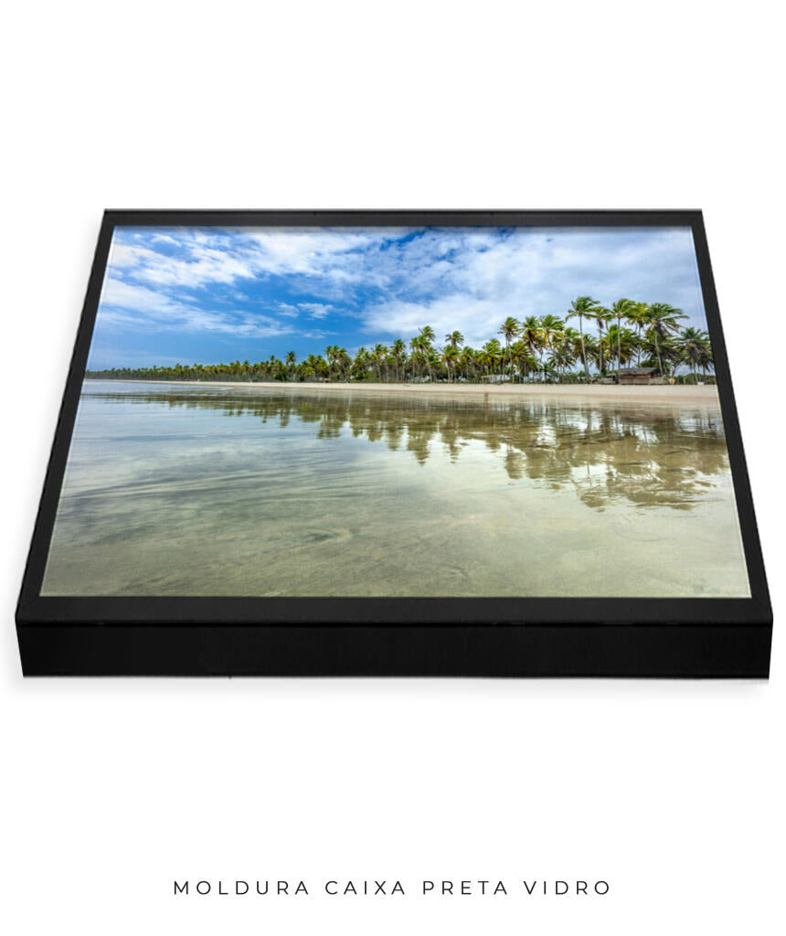 Quadro Decorativo Coqueiral na Beira da Praia