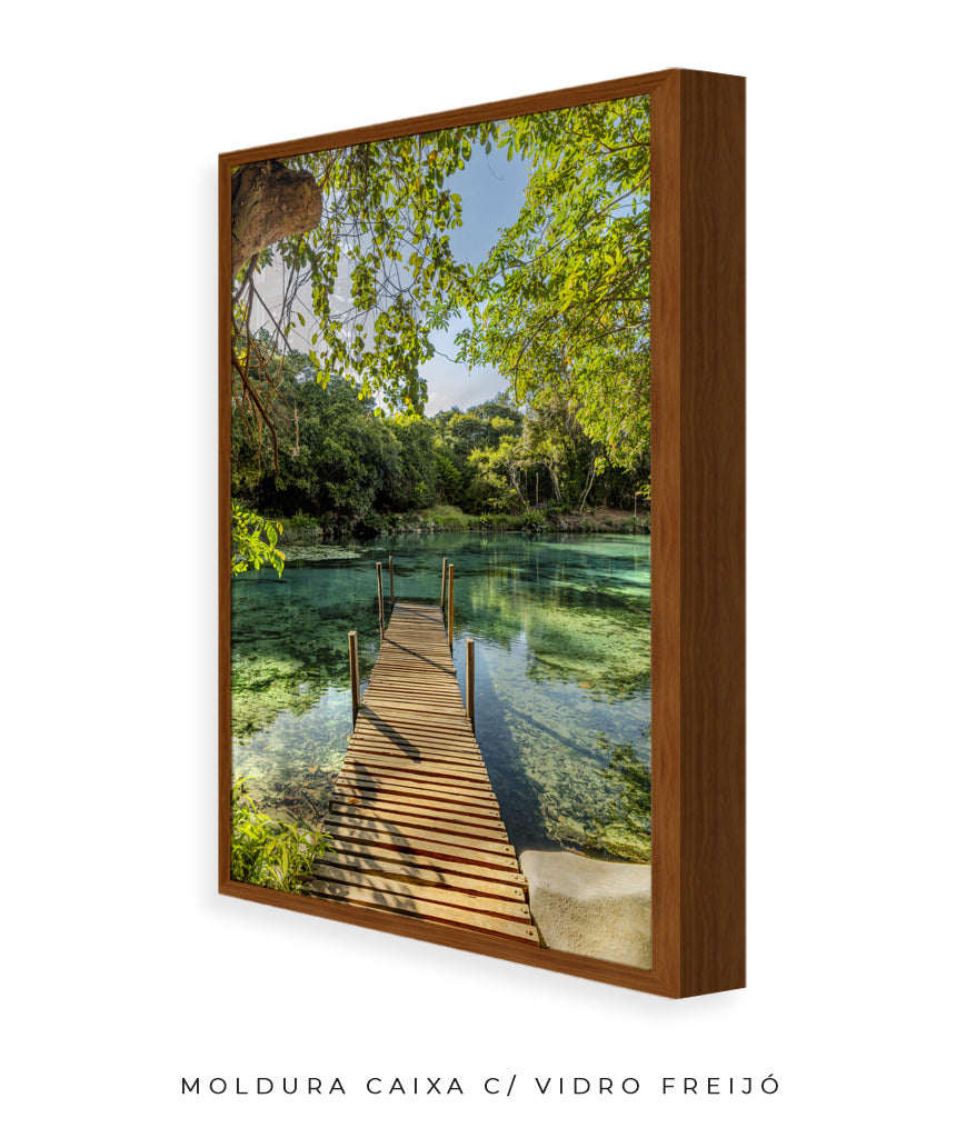 Quadro Decorativo Chapada Diamantina - Ponte para Paraíso-Vertical