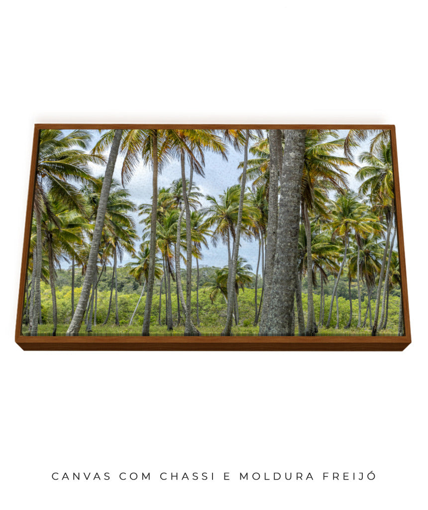 Quadro Decorativo Coqueiros Sépia - Horizontal