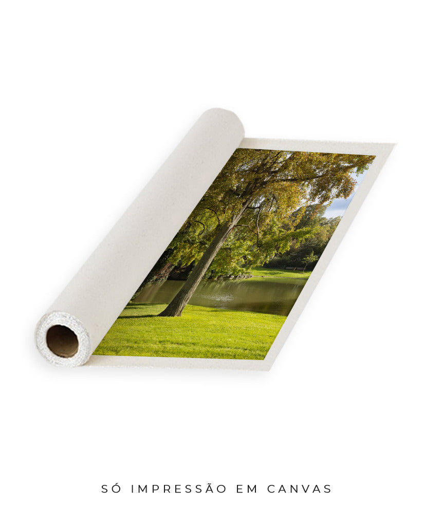 Quadro Decorativo Portais Natureza