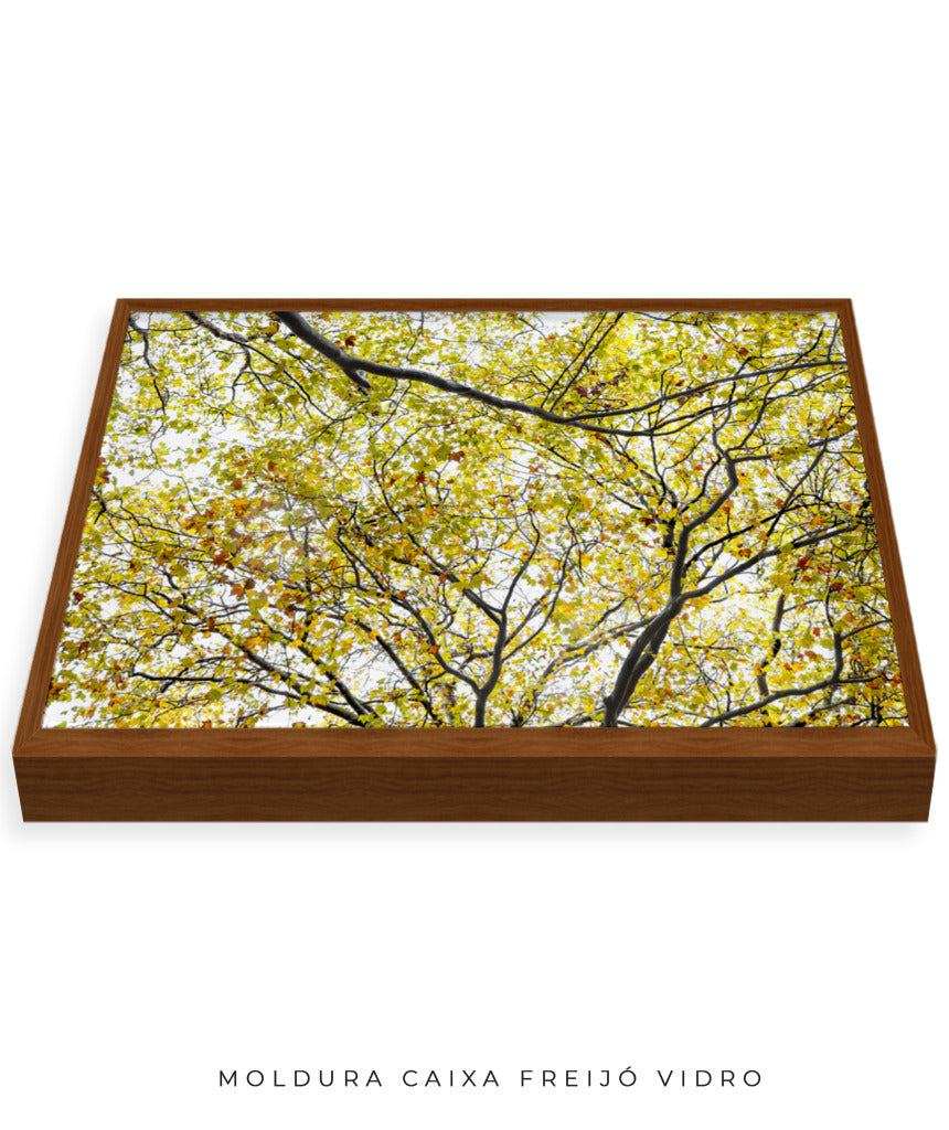 Quadro Decorativo Árvore com Galhos Verdes - Horizontal