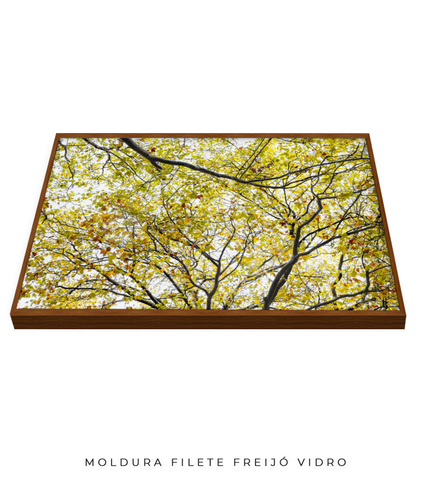 Quadro Decorativo Árvore com Galhos Verdes - Horizontal
