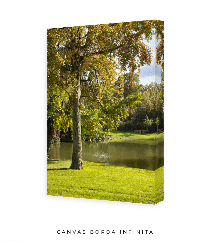 Quadro Decorativo Portais Natureza