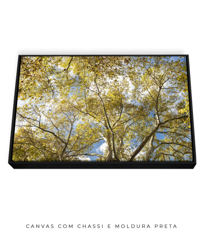 Quadro Decorativo Galhos e Árvores - Horizontal