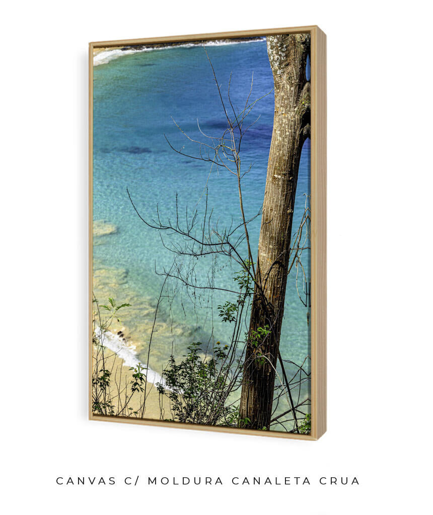 Quadro Decorativo Noronha - Mar Vertical