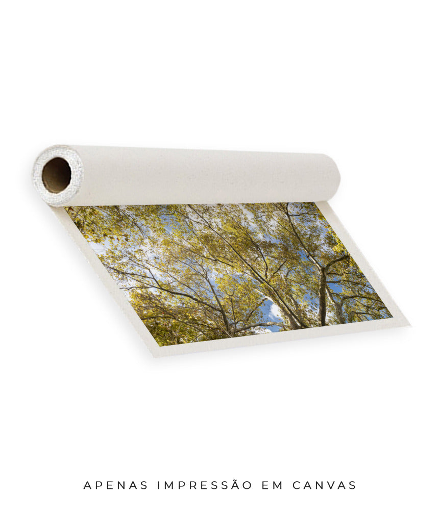 Quadro Decorativo Galhos e Árvores - Horizontal