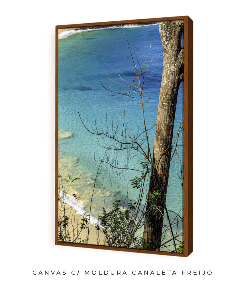 Quadro Decorativo Noronha - Mar Vertical