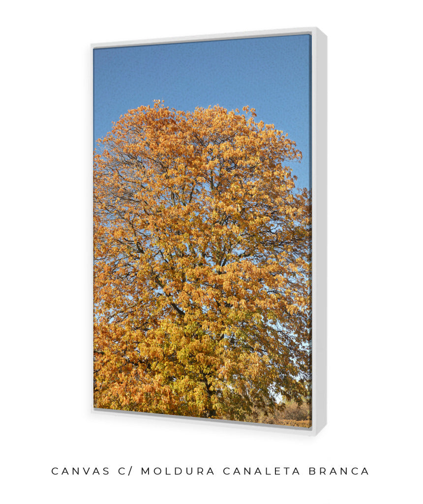 Quadro Decorativo Árvore Amarela