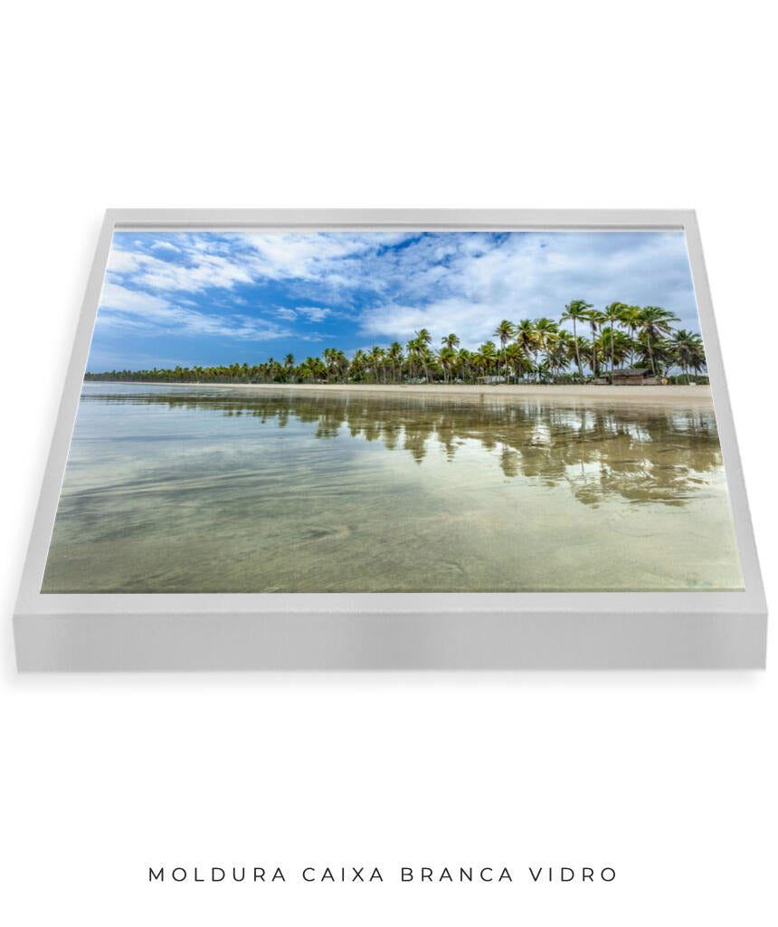Quadro Decorativo Coqueiral na Beira da Praia