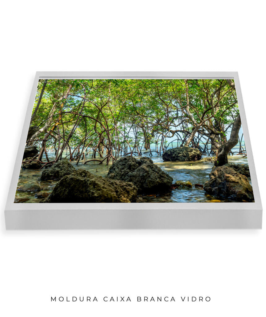 Quadro Decorativo Árvores e Galhos - Pedras e árvores