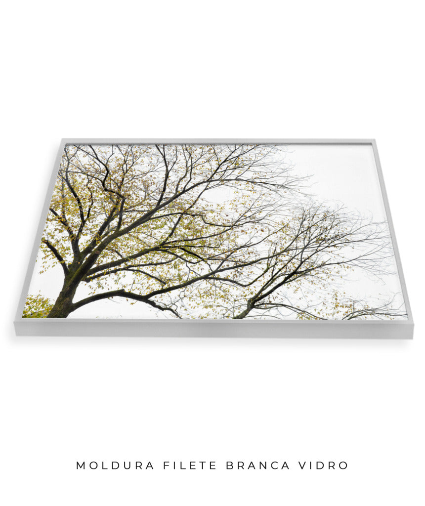 Quadro Decorativo Galhos Secos - Horizontal