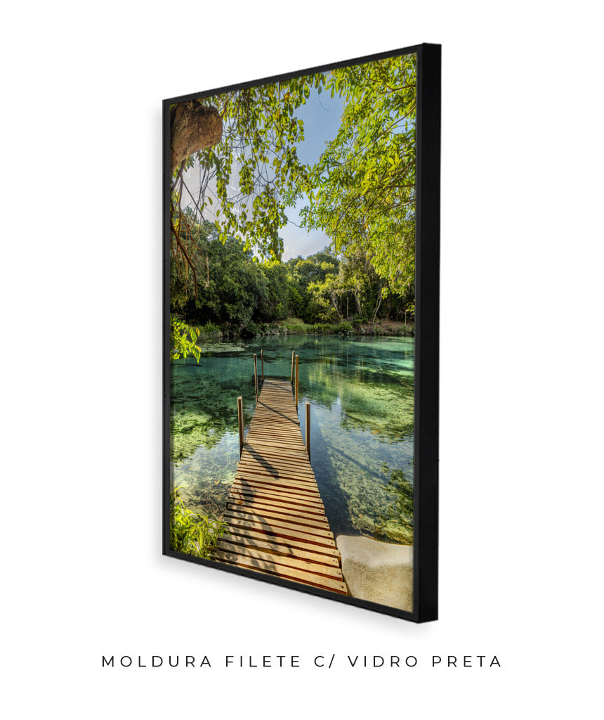 Quadro Decorativo Chapada Diamantina - Ponte para Paraíso-Vertical