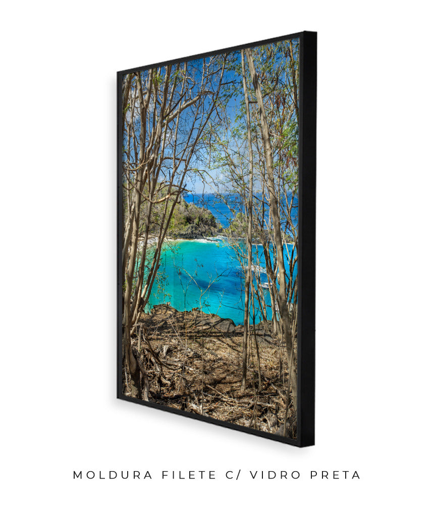 Quadro Decorativo Portais Praia