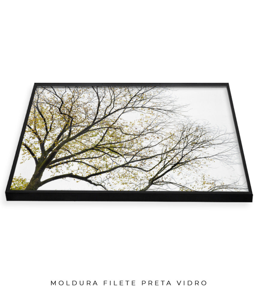 Quadro Decorativo Galhos Secos - Horizontal