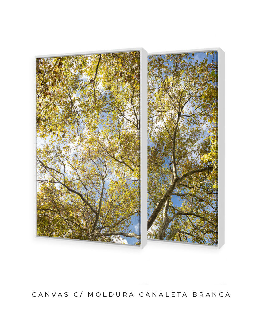 Quadro Decorativo Galhos e Árvores - Dupla