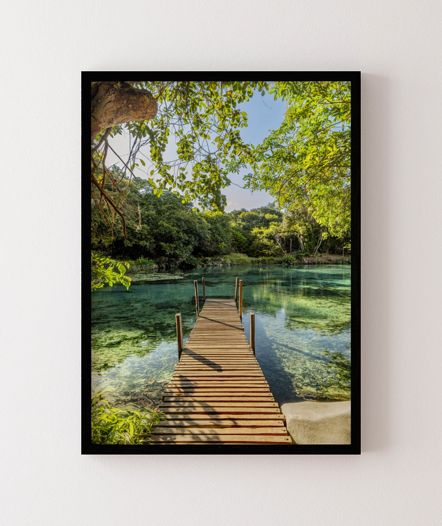 Quadro Decorativo Chapada Diamantina - Ponte para Paraíso-Vertical