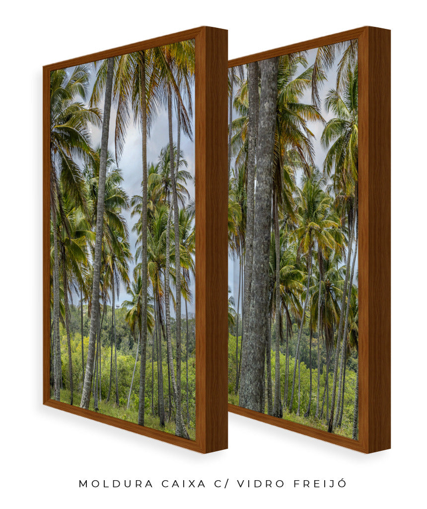 Quadro Decorativo Coqueiros Sépia -Dupla