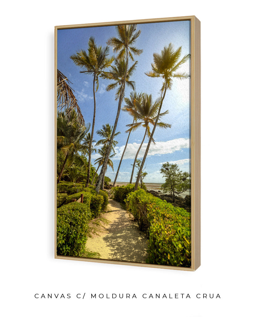 Quadro Decorativo Portais - Coqueiros