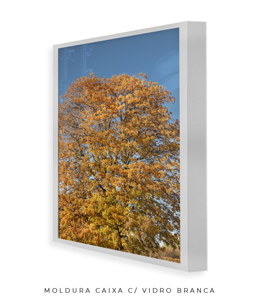 Quadro Decorativo Árvore Amarela