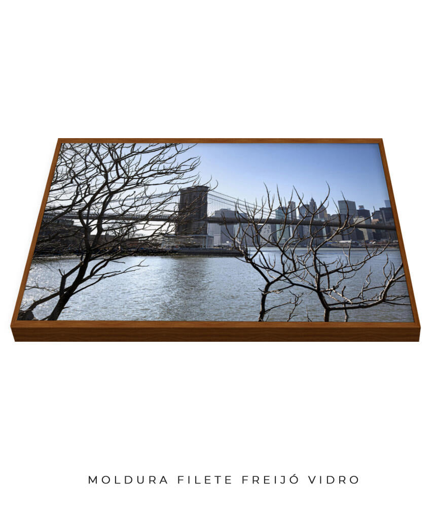 Quadro Decorativo Lago de Nova York